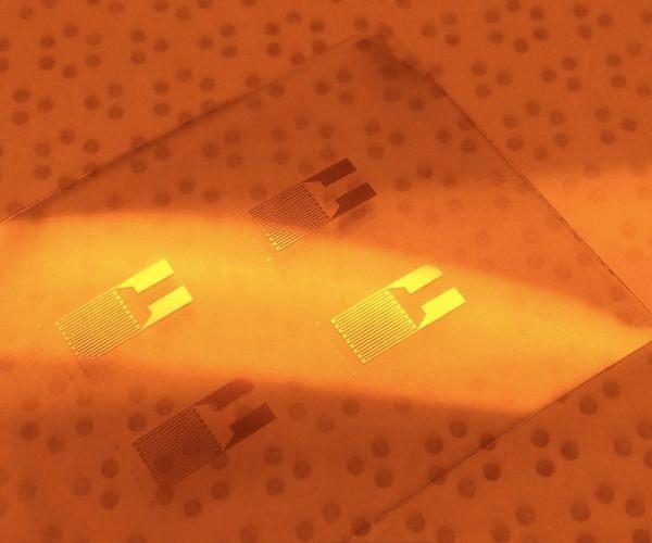 AI揭示材料科学新突破：镁基热电材料的“自然自优化”之谜被解开